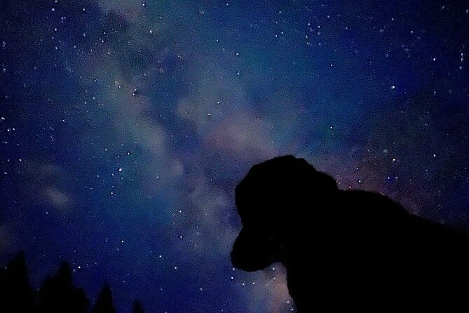 The Banff Stargazing Tour - 2hr Walking Tour - How the two hours unfold