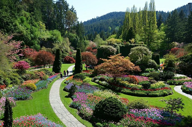 The Butchart Gardens Express Shuttle from Downtown Victoria - Who will like this experience most