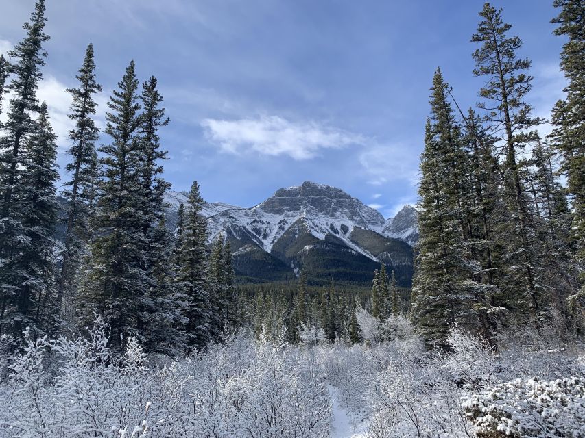 The Canmore HISTORY TOUR - Cowboys and Coal Miners 2H Walk - Historic photos make the past easier to see