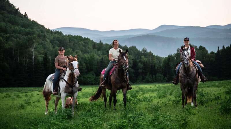 The Montagnarde: Guided horseback ride on mountain trails. - Meeting the horses at the Charlevoix ranch