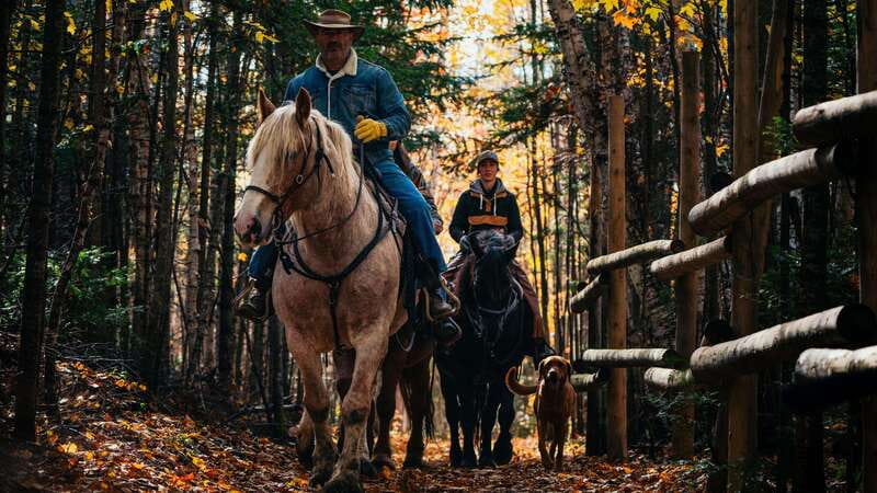 The Montagnarde: Guided horseback ride on mountain trails. - Who will enjoy this horseback ride most?