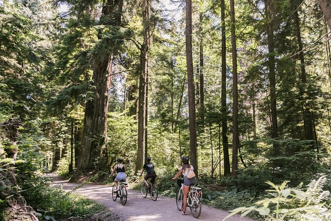 The Stanley Park Bicycle Tour by Cycle City Tours - Why a Bicycle Is the Right Way to See Stanley Park