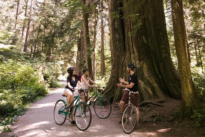 The Stanley Park Bicycle Tour by Cycle City Tours - First Nations Totem Poles at Brockton Point
