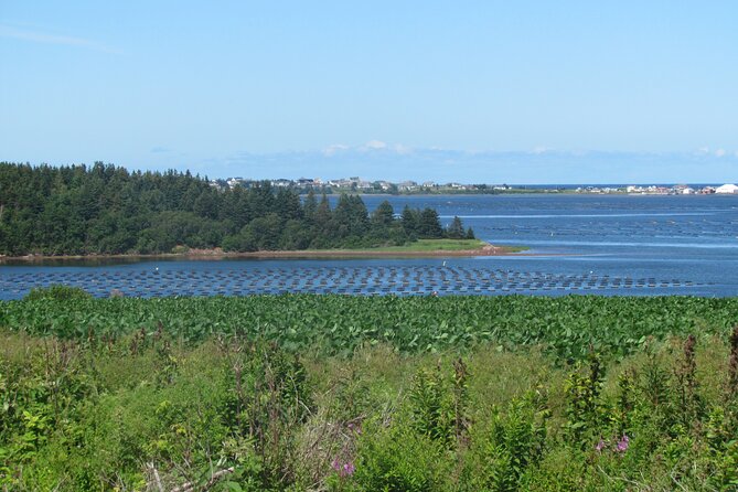 The Ultimate Anne of Green Gables Private Tour - North Rustico shows you a working shore
