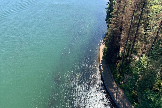The Ultimate Stanley Park E-Bike Tour - Totem poles and the park’s historic markers