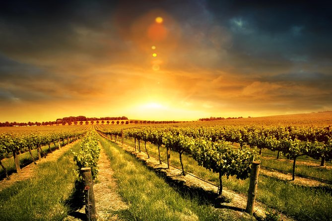Three Courses Lunch and Wine Tour Through Niagara's Wine Country - A full day in Niagara’s wine country