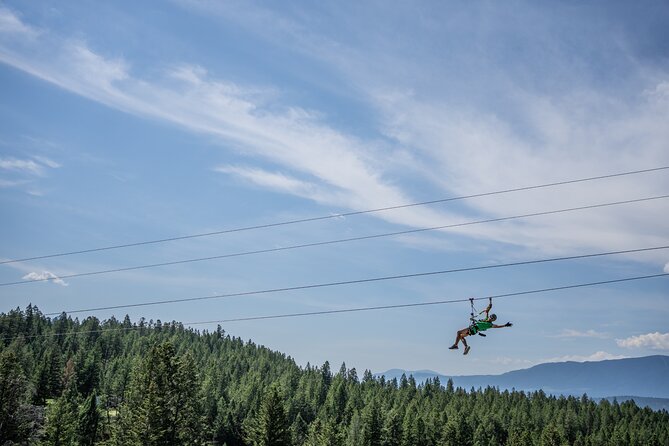 Thrilling 2-Hour Zipline Tour in Radium Hot Springs - A two-minute walk to the Columbia Valley view