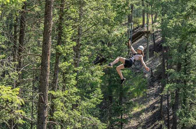 Thrilling 2-Hour Zipline Tour in Radium Hot Springs - Is $85.30 a fair price?
