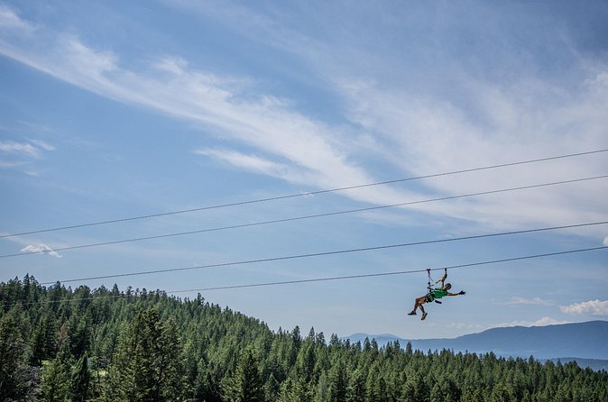 Thrilling 2-Hour Zipline Tour in Radium Hot Springs - Who should book this Radium zipline tour?