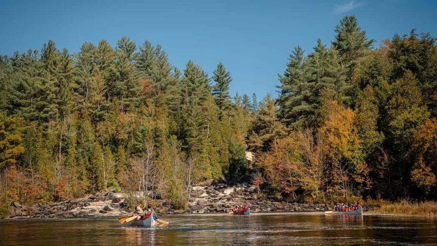 Toronto: Algonquin Park and Ragged Falls Day Trip - Why this day trip works from Toronto