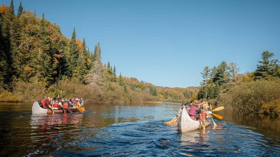 Toronto: Algonquin Park and Ragged Falls Day Trip - The road north, with a stop in Huntsville