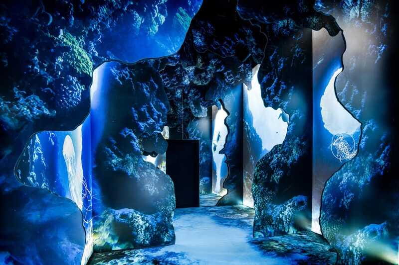 Toronto: Arcadia Earth, Immersive Experience Anytime Ticket - How the self-guided format affects the visit