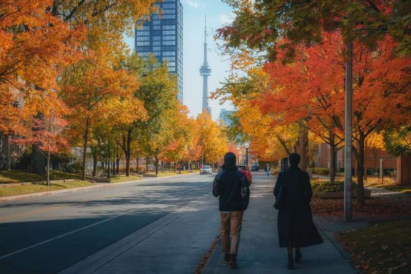 Toronto: City Highlights Walking Tour | 3-Hour - What the guide adds to the experience