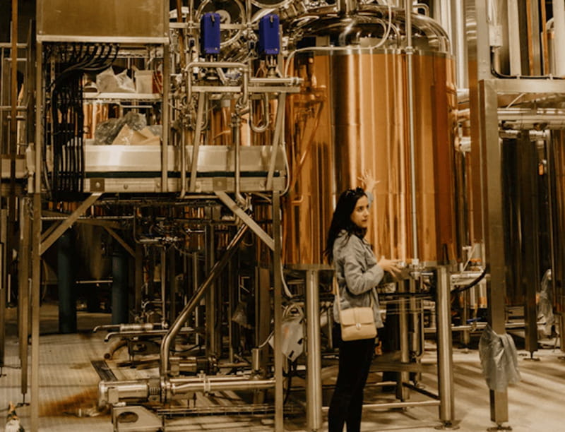 Toronto: Craft Brewery Tour - Timing, food, and practical planning
