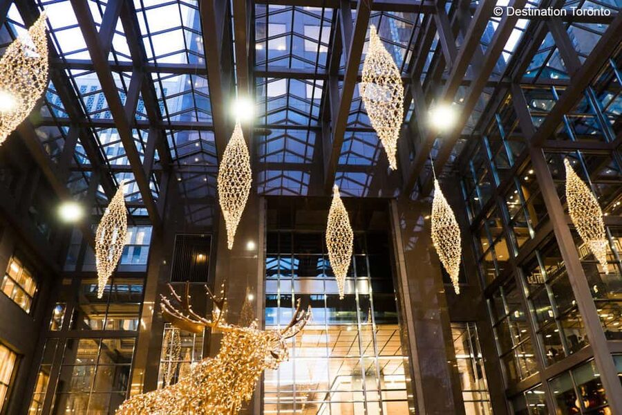 Toronto: Festive Lights Bus Tour - Festive treats and the 90-minute format
