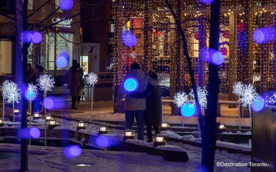 Toronto: Festive Lights Bus Tour - Starting at Sankofa Square