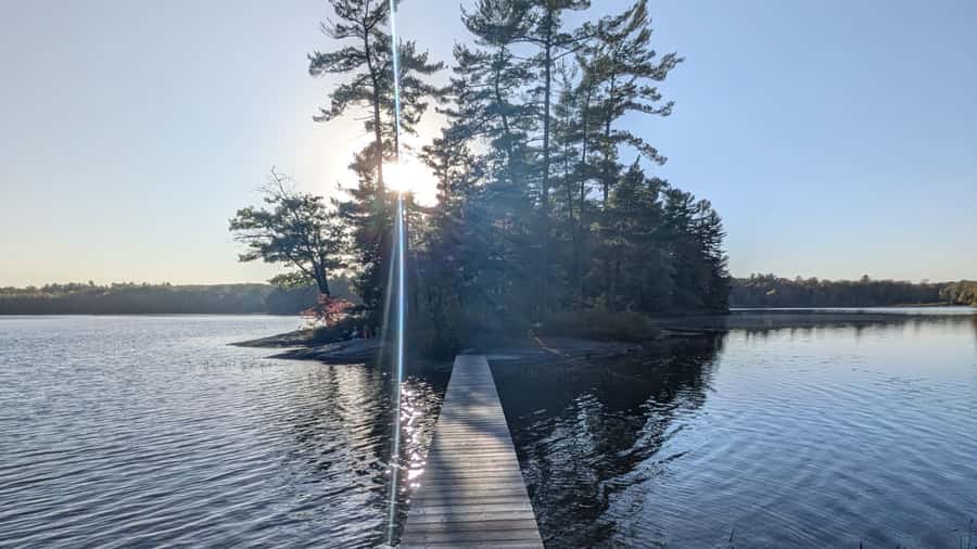 Toronto: Muskoka Cranberry Farm and Hardy Lake Hike - Why the cranberry marsh makes this trip different
