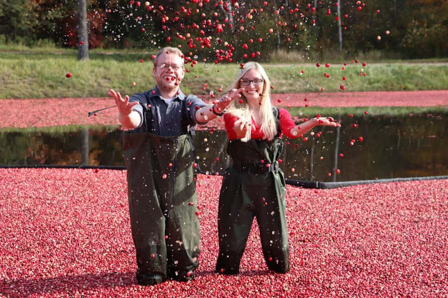 Toronto: Muskoka Cranberry Farm and Hardy Lake Hike - Hardy Lake offers the day’s proper walk
