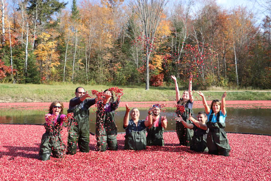 Toronto: Muskoka Cranberry Farm and Hardy Lake Hike - Meeting at Yorkdale TTC without confusion