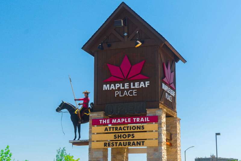 Toronto: Niagara Falls Day Tour with Optional Boat Cruise - Behind the Falls, Skylon Tower, and aerial choices
