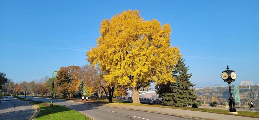 Toronto: Niagara Falls & NOTL Heritage Town Guided Day Tour - Timing, delays, and what to pack