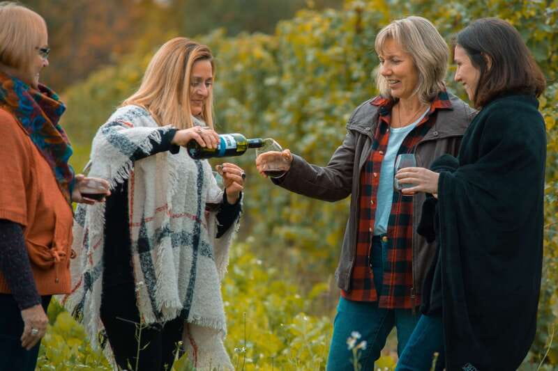 Toronto: Niagara Wineries Tasting Tour & Optional Lunch - Pillitteri Estates, Inniskillin, and Konzelmann Estates