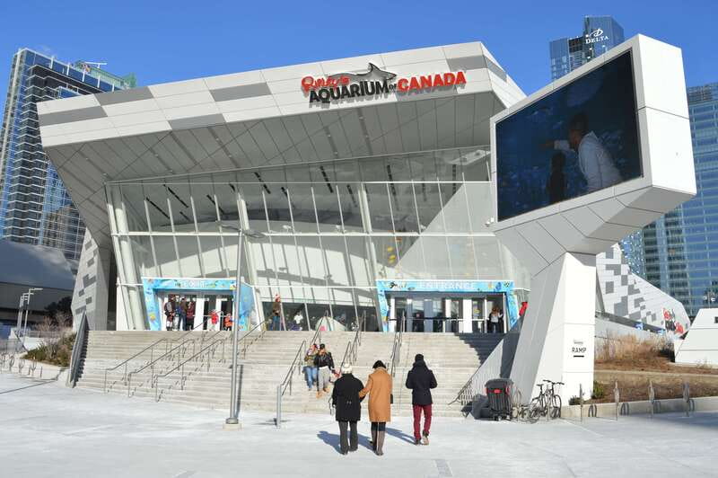 Toronto: Ripley's Aquarium of Canada Entry Ticket - Key points to know before you go