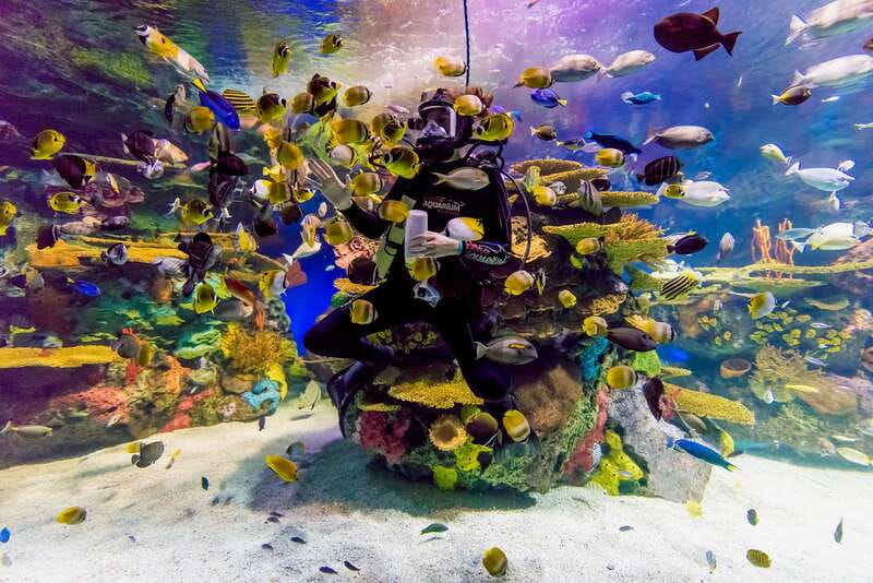 Toronto: Ripley's Aquarium of Canada Entry Ticket - Dangerous Lagoon and the moving walkway