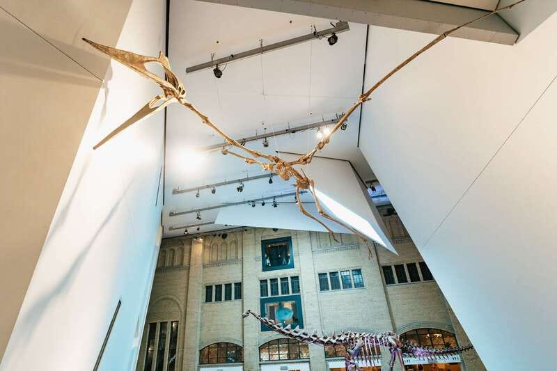 Toronto: Royal Ontario Museum Admission Ticket - Why the ROM deserves a full morning or afternoon