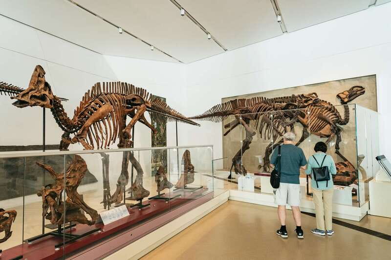 Toronto: Royal Ontario Museum Admission Ticket - Travel back through fossils and the origins of life