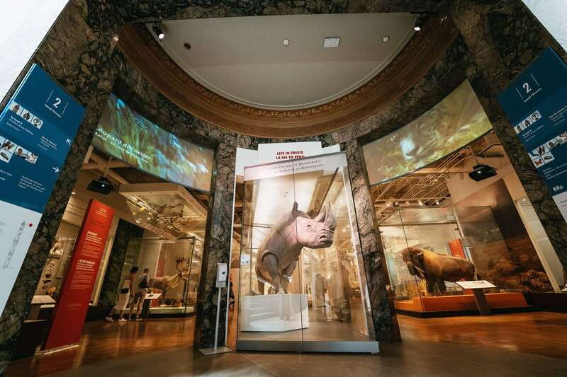 Toronto: Royal Ontario Museum Admission Ticket - Egyptian objects, Cleopatra, and Sekhmet