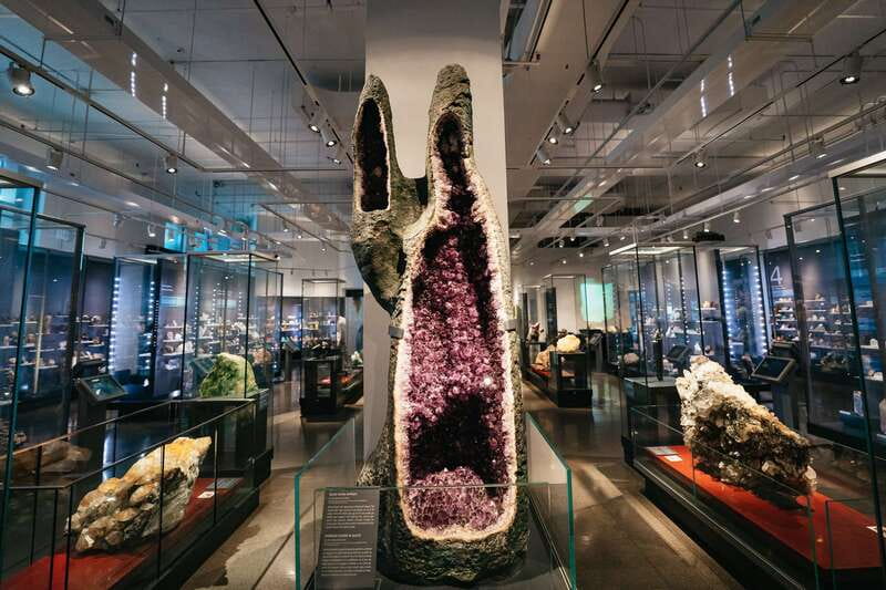 Toronto: Royal Ontario Museum Admission Ticket - Wildlife, armor, and treasures from many eras