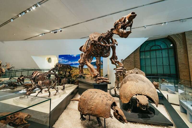 Toronto: Royal Ontario Museum Admission Ticket - Special exhibitions and extra ticket value