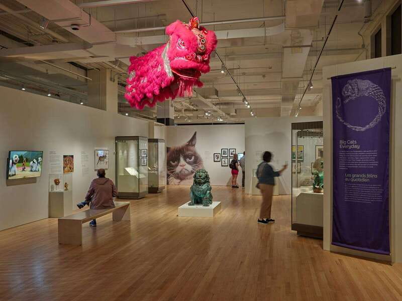 Toronto: Royal Ontario Museum Special Exhibits Voucher - Choosing a special exhibition