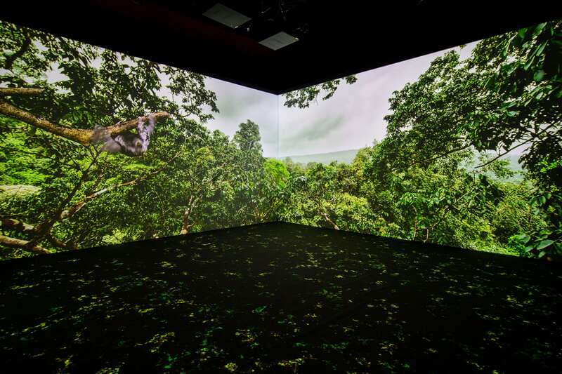 Toronto: Royal Ontario Museum Special Exhibits Voucher - Free tours, kiosks, and exploring at your own speed