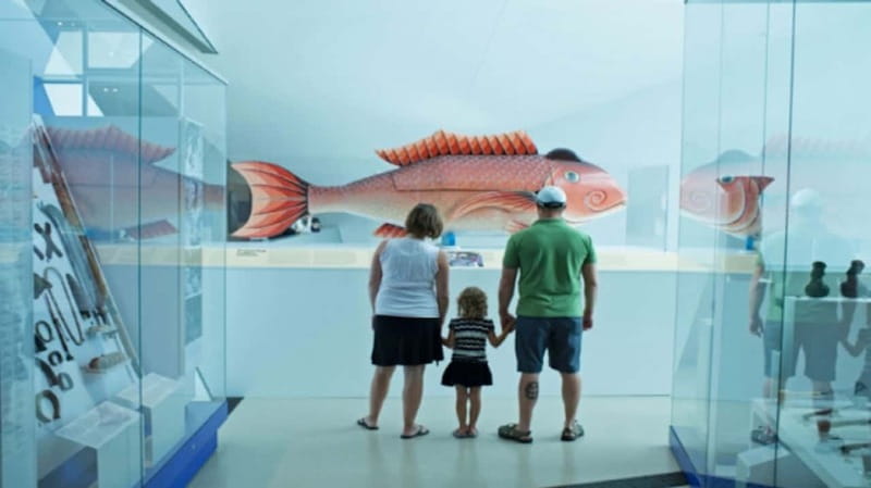 Toronto: Royal Ontario Museum Special Exhibits Voucher - Entering through the Weston Queen’s Park Entrance