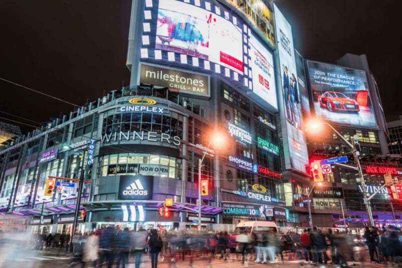 Toronto: Small Group Night Tour with Harbour Boat Cruise - What the $72 price gets you