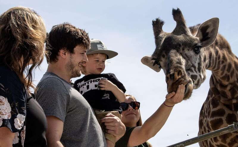 Toronto: Toronto Zoo Entry Ticket - Key points to know before you go