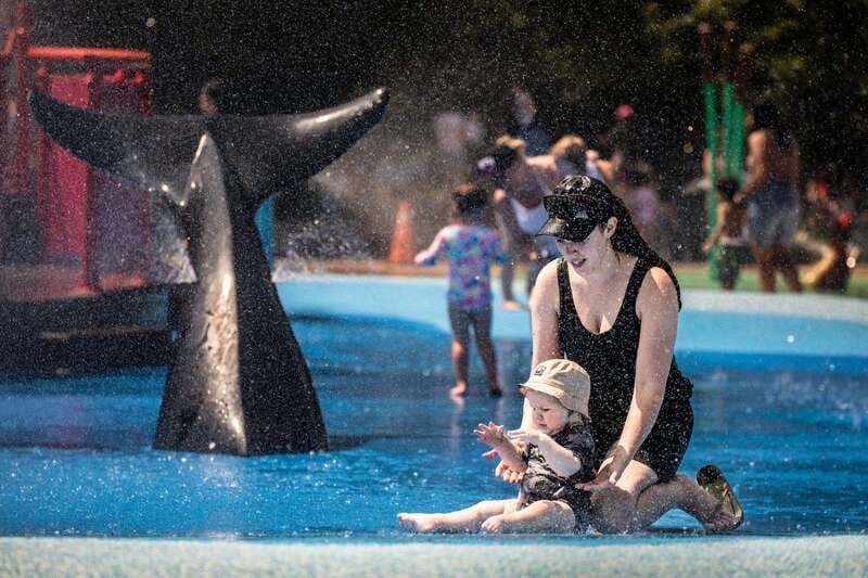 Toronto: Toronto Zoo Entry Ticket - Why the Toronto Zoo takes a full day