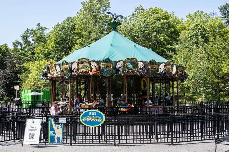 Toronto: Toronto Zoo Entry Ticket - The walking challenge is real