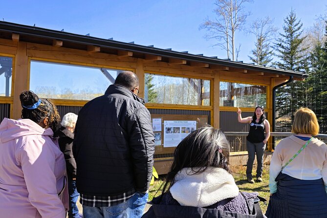 Transfer to Canmore & Banff: Yamnuska Wolfdog Sanctuary Tour - What the $79.98 price really covers