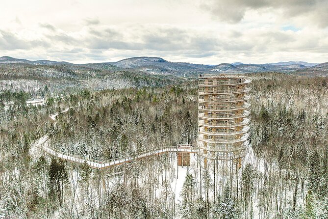 Treetop Observatory and Walk - Key points to know before you go