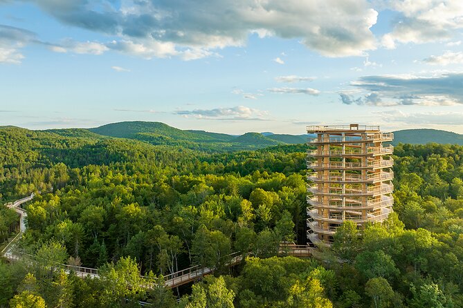 Treetop Observatory and Walk - Following the wooded trail at your own pace