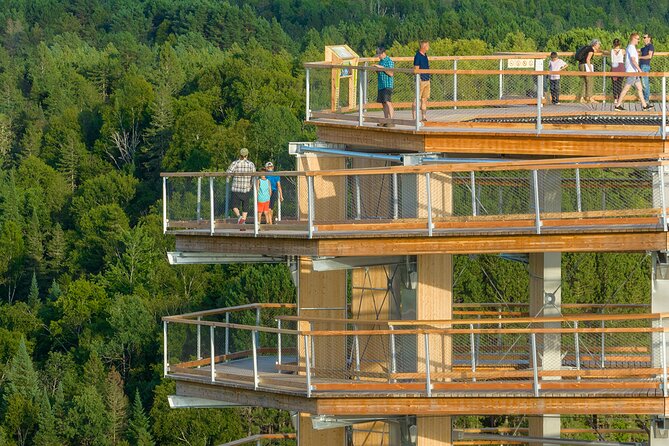 Treetop Observatory and Walk - The tower’s net adds a playful pause