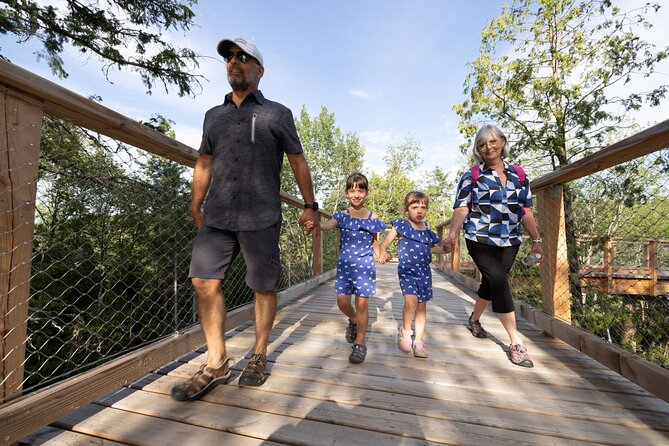 Treetop Observatory and Walk - The Montreal distance matters more than the ticket price