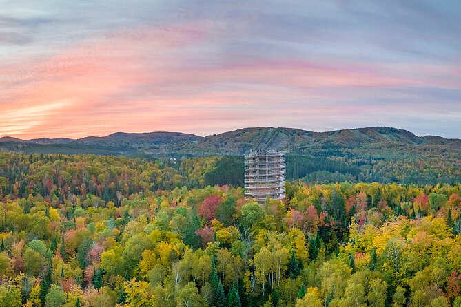 Treetop Observatory and Walk - Winter changes the character of the visit