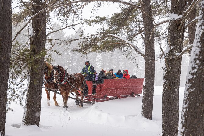 Tremblant Sleighride - A 50-minute ride with a Québecois soundtrack