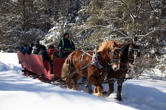 Tremblant Sleighride - Percheron horses and a route beyond the ski hill