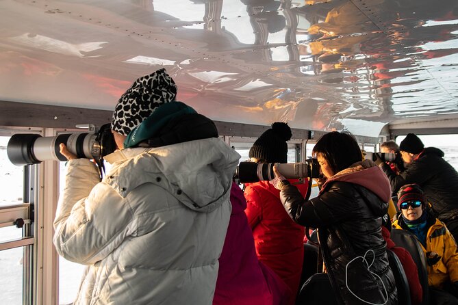 Tundra Buggy Autumn Day Tours - What wildlife viewing may be like