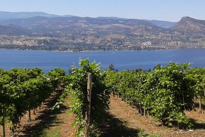 Unmatched Private Wine Tours for Up to 11 in Kelowna Area - Mt. Boucherie combines volcanic geology and estate wine